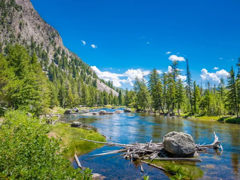 Madison River West Gate viewpoint during the Overall Best Time to Visit Yellowstone