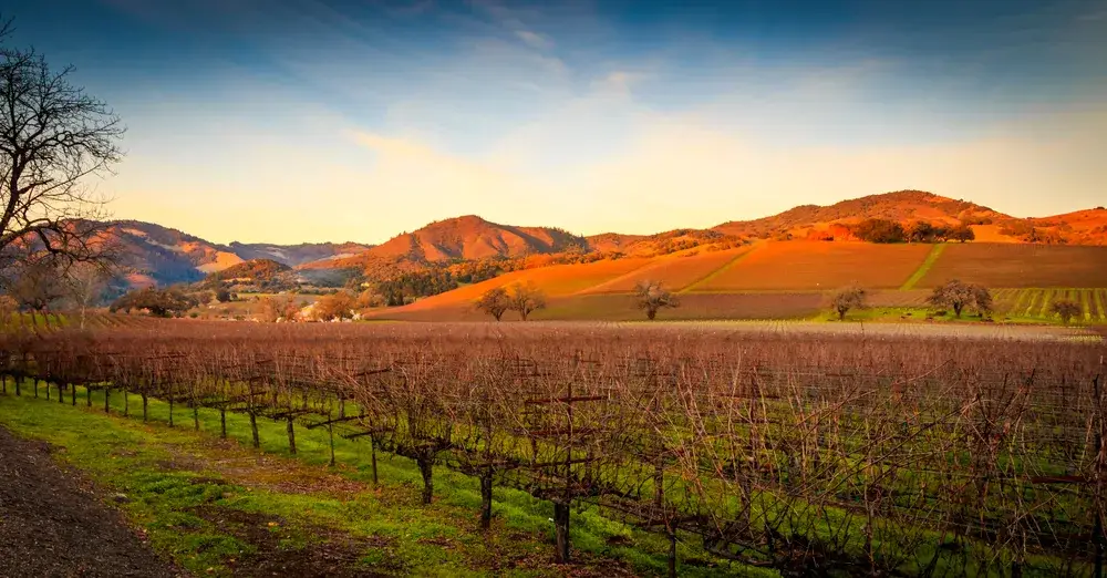 Autumn view of Sonoma pictured during the worst time to visit