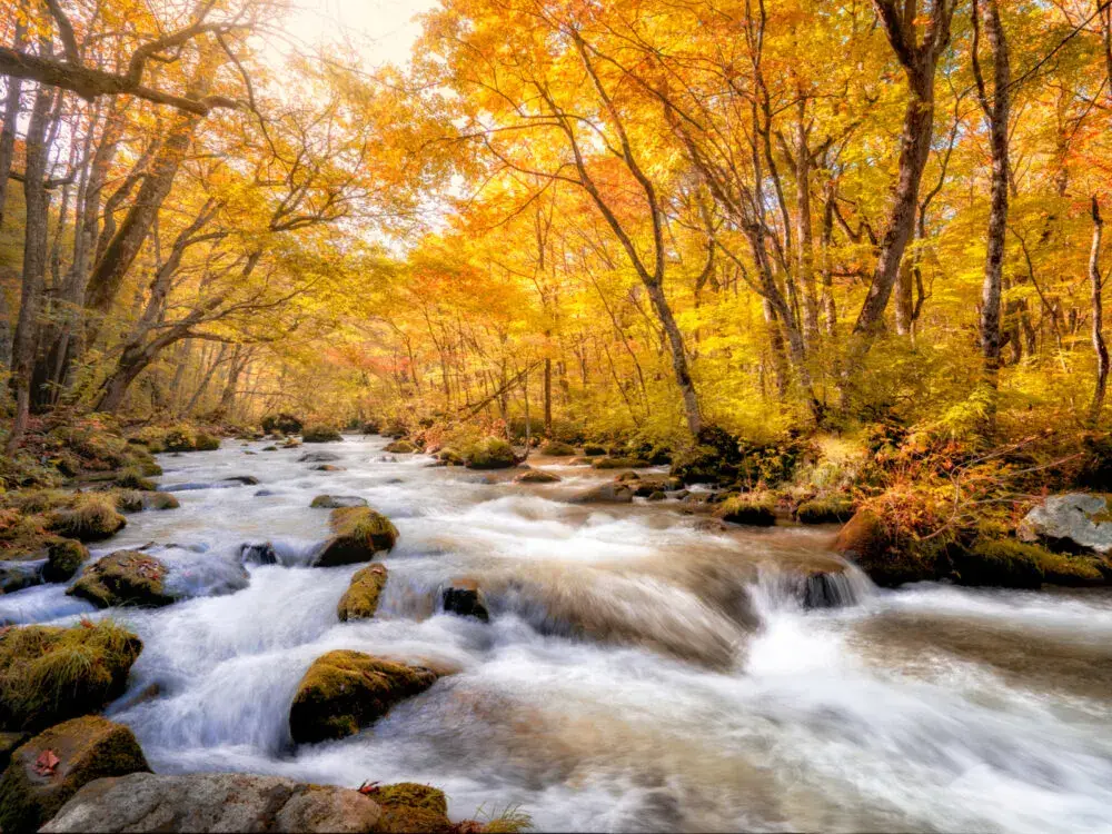 Oraise Gorge as seen from the river bank in Autumn