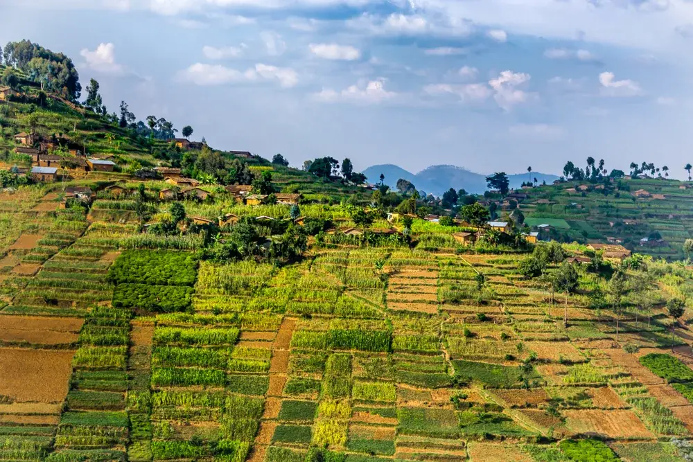 Rural landscape of Nyungwe National Park pictured during the least busy time to visit Rwanda, as seen from the air