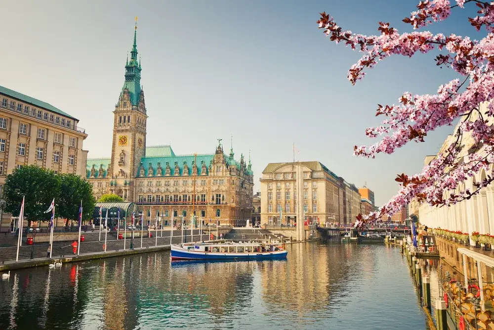 Pink flower blossoms pictured on the right side of the screen with old town Hamburg in the background, as seen from across the river