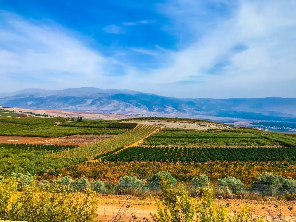 Aerial view of farms and fields with Mount Lebanon in the distance during the least busy time to visit Lebanon in winter