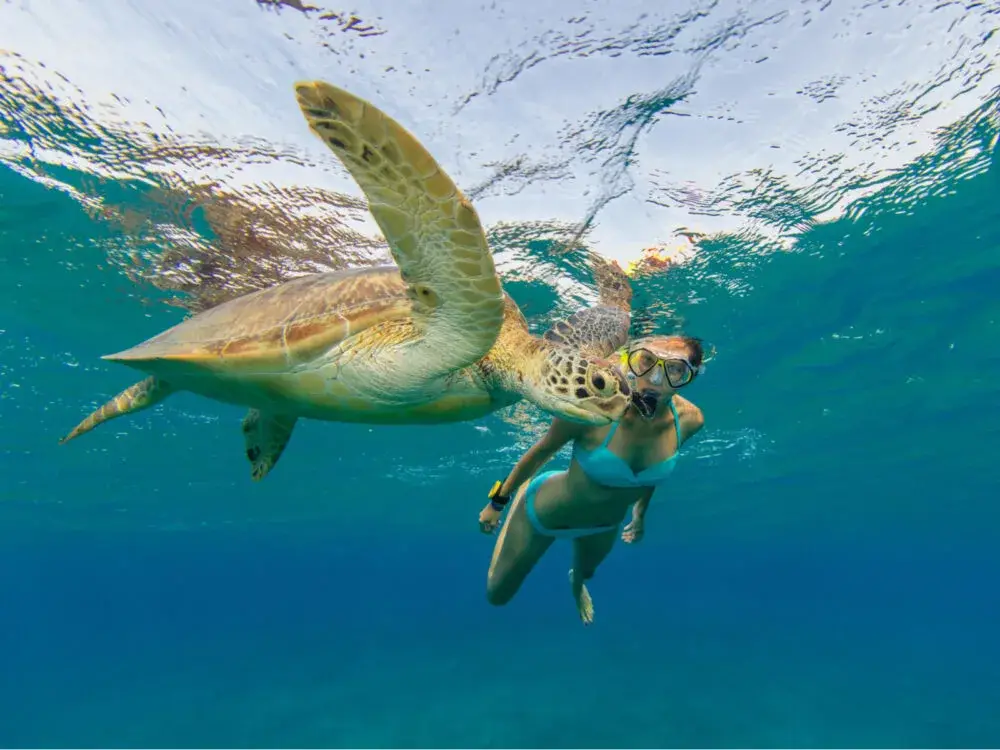 Pretty, slender Asian woman pictured snorkeling during the best time to go to the Caribbean