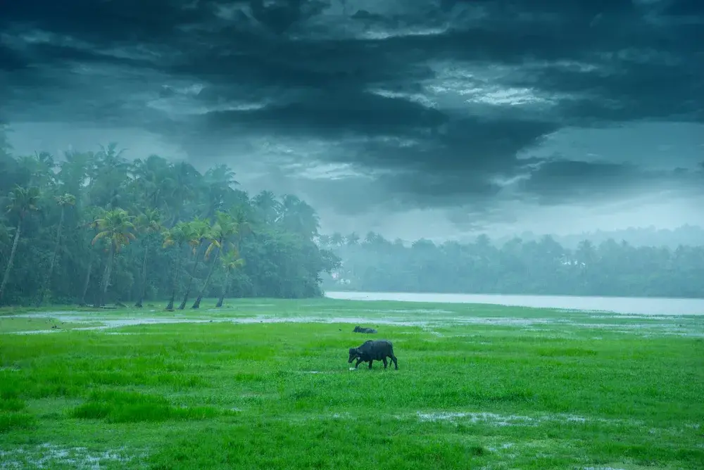 Rain over a field in the outskirts of town during the worst time to visit India