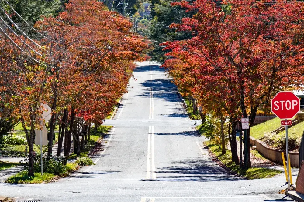 Picturesque street in Dahlonega, a top pick for Georgia's best places to visit