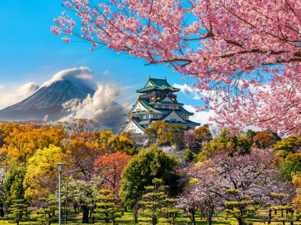 Cherry trees in full bloom over Osaka Castle for a piece on the best places to visit in Japan