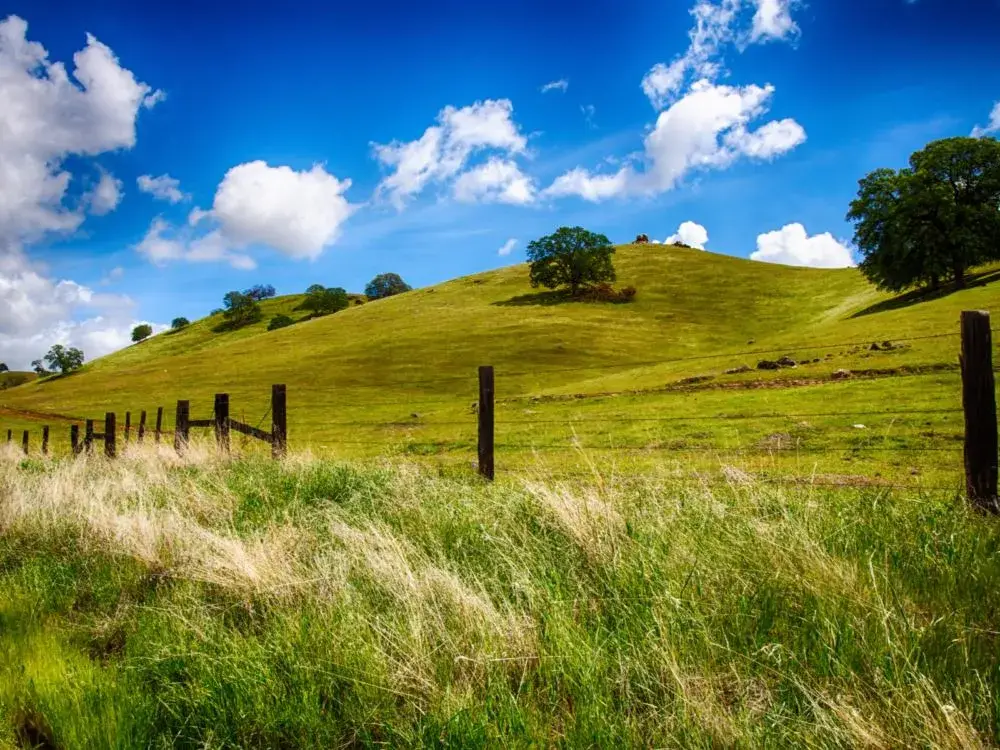 Rolling green hills outside a ranch in Fresno, California for a piece titled the best time to visit California