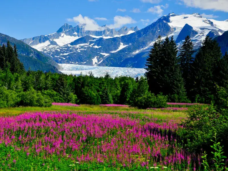 Mendenhall Glacier as viewed during the best time to Visit Alaska (June through September)