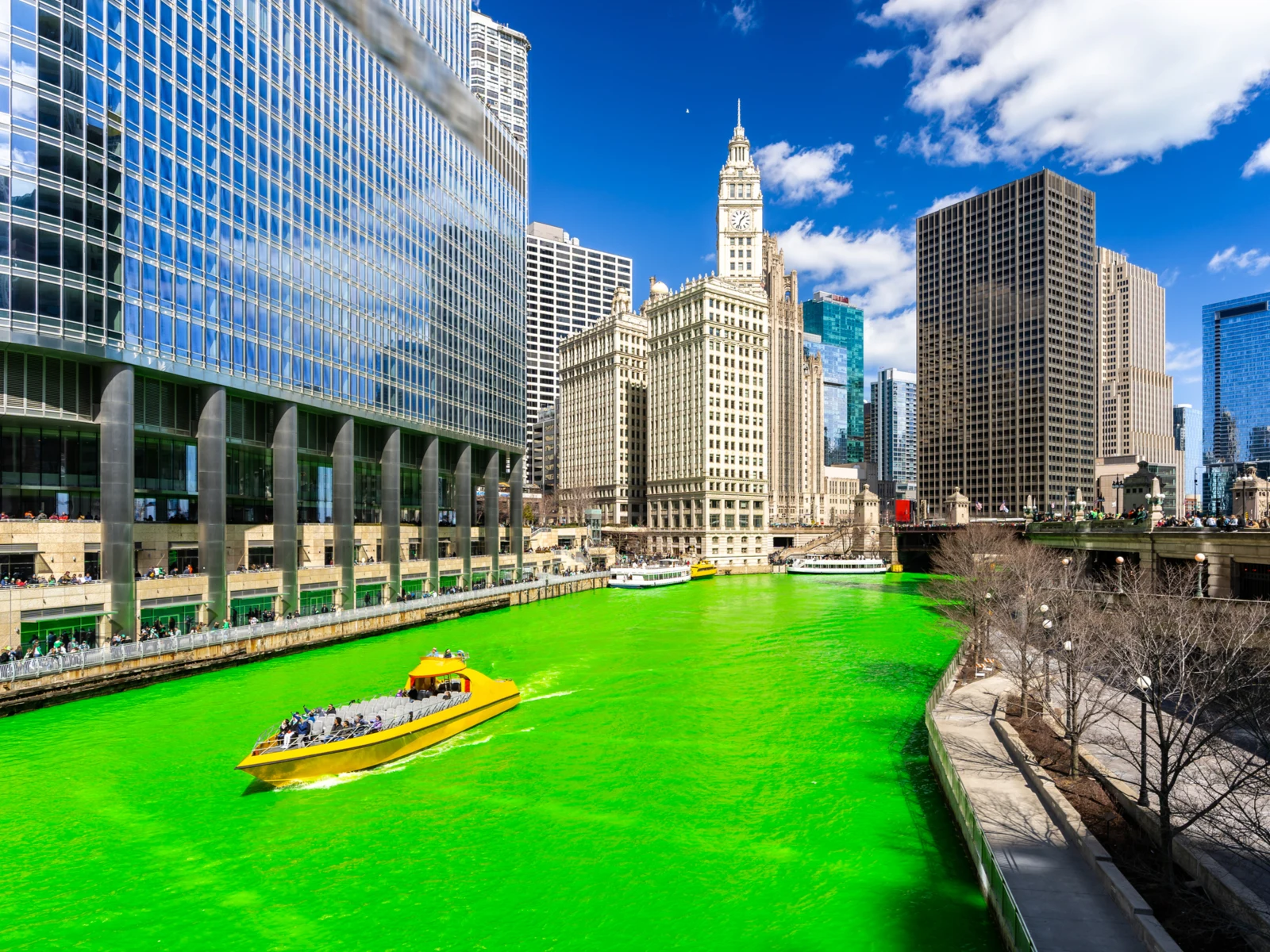 Chicago skyline over the green river next to Trump International for a piece titled Is Chicago Safe