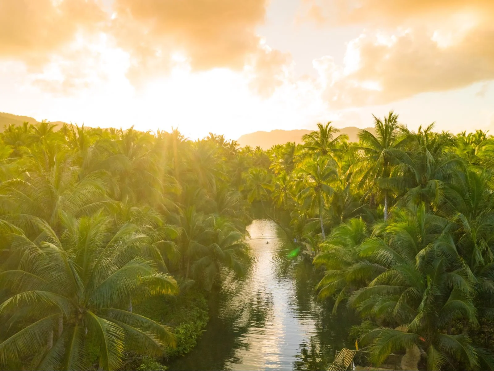 For an image for a piece on the best time to visit Colombia, a sunset over the Amazon river with palm trees on either side