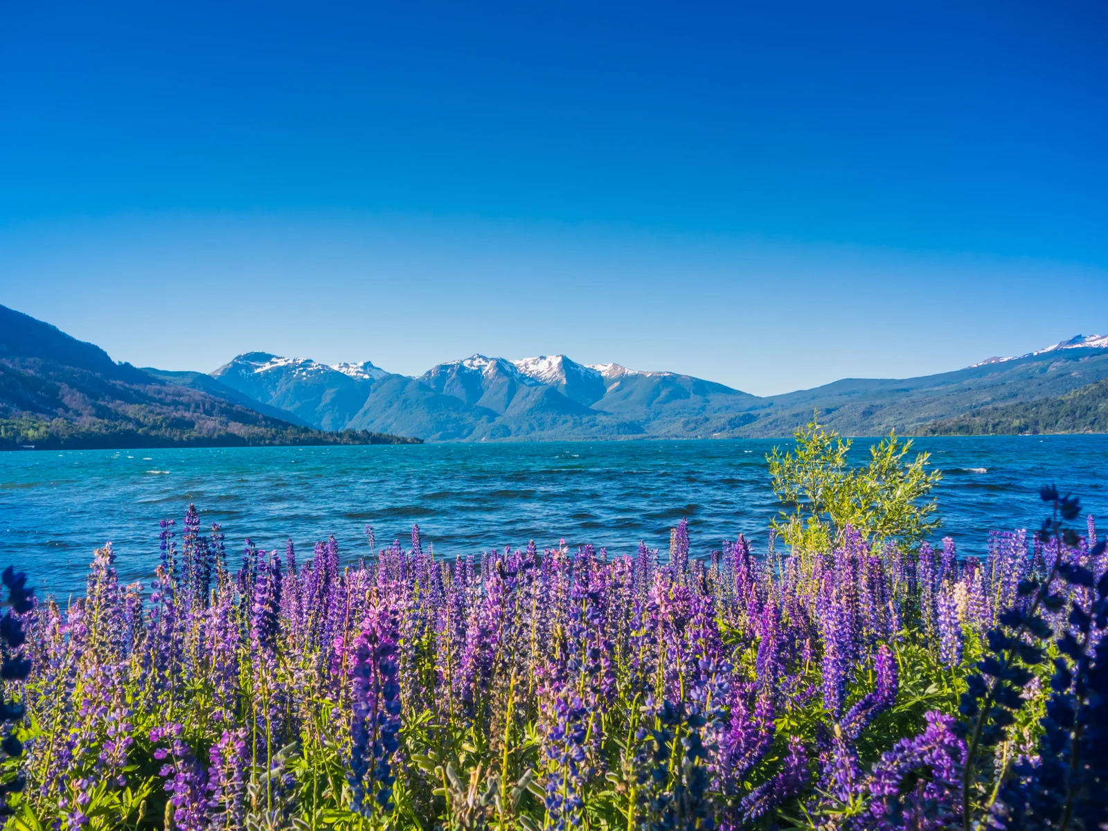 Los Alerces National Park pictured during Summer, the overall best time to visit Argentina