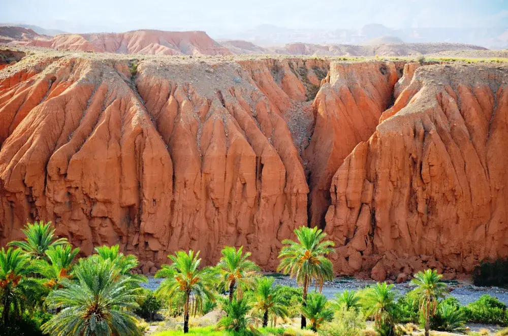 Canyon Ghoufi with green palm trees in front on a sunny day showing the worst time to visit Algeria