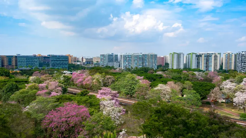 Singapore's Tampines neighborhood shown with flowers blooming as a place to avoid for a piece on Is Singapore Safe