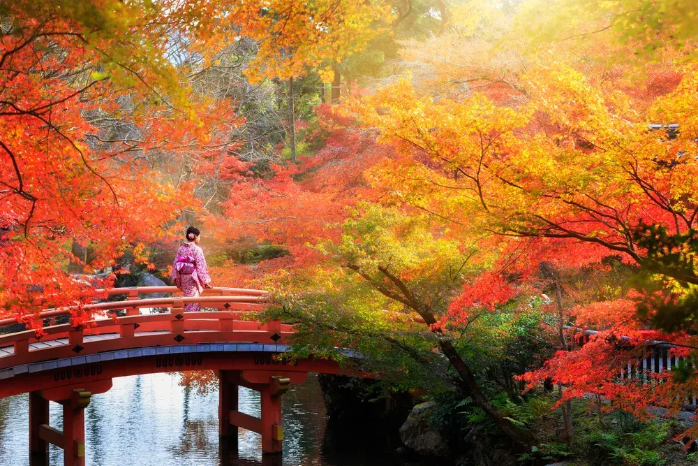 Wooden bridge on a walking path going over a small stream, as seen during the best time to visit Kyoto