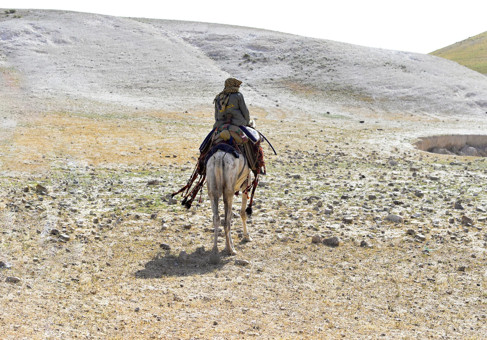 Guy on a camel in the desert pictured during the worst time to visit Israel