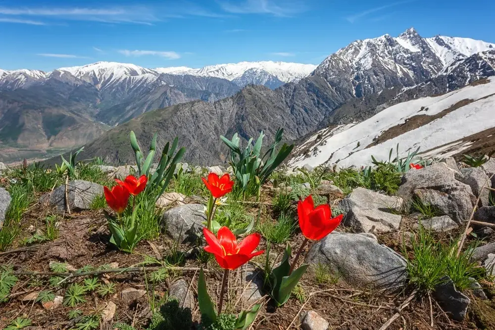 Snowy highlands in Uzbekistan pictured during the cheapest time to visit