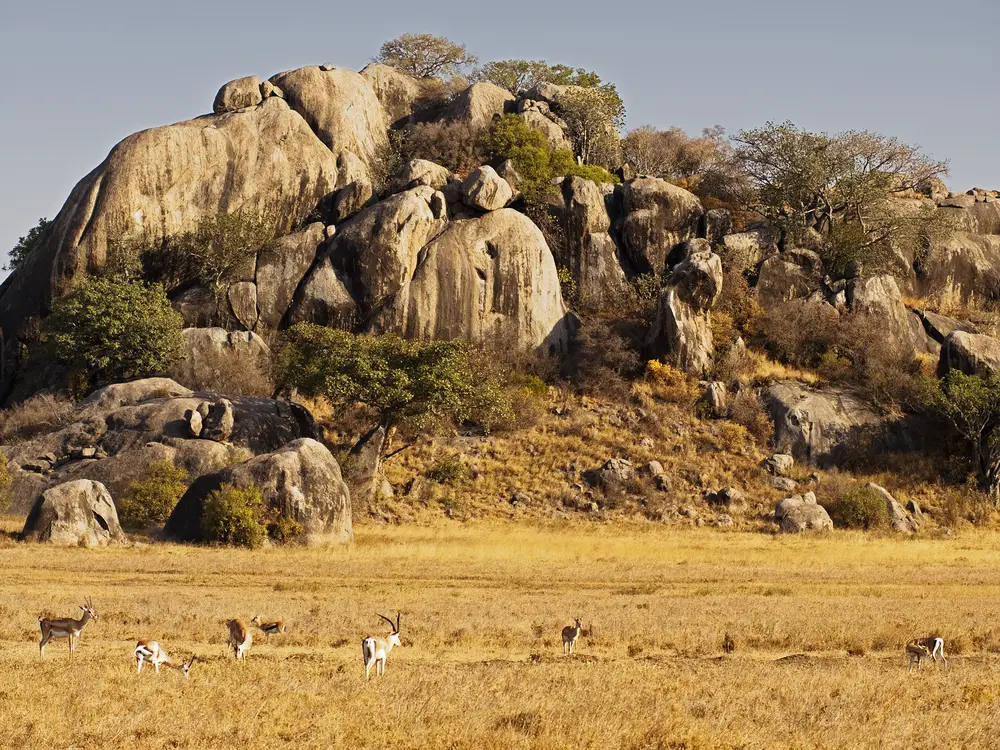 Rocky kopjes pictured towering over a grassland with a cloudy sky overhead