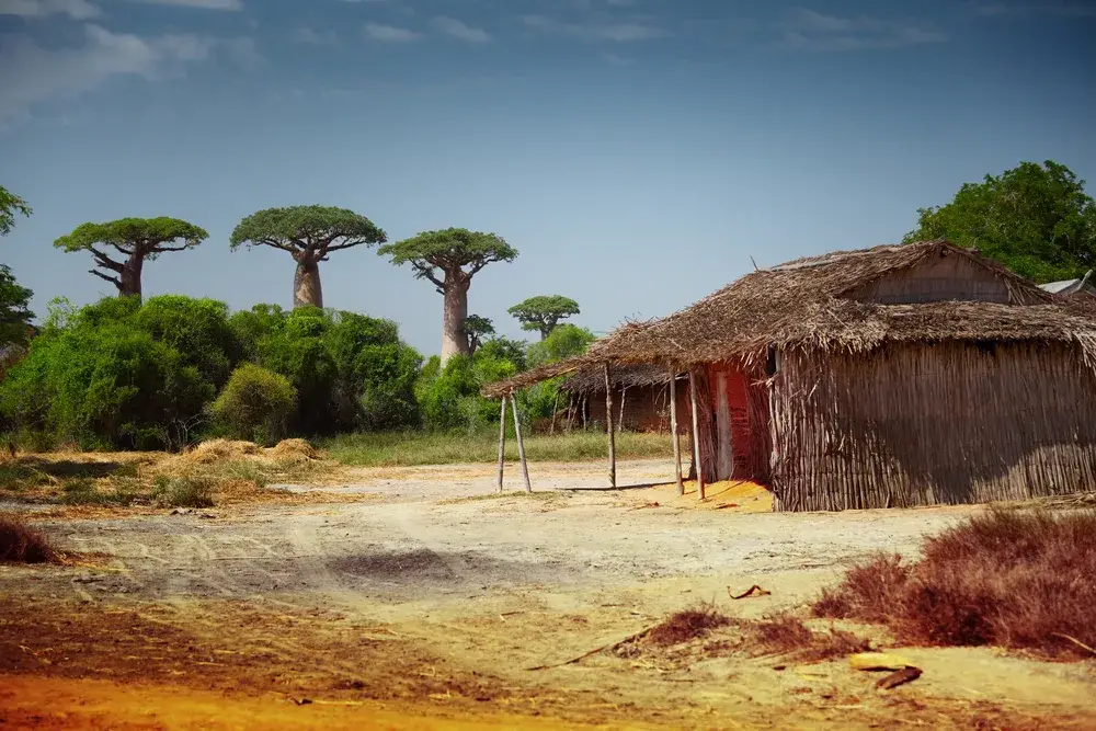 Empty streets pictured during the least busy time to visit Madagascar with Balboa trees by a dirt road and a small grass and mud hut on the right