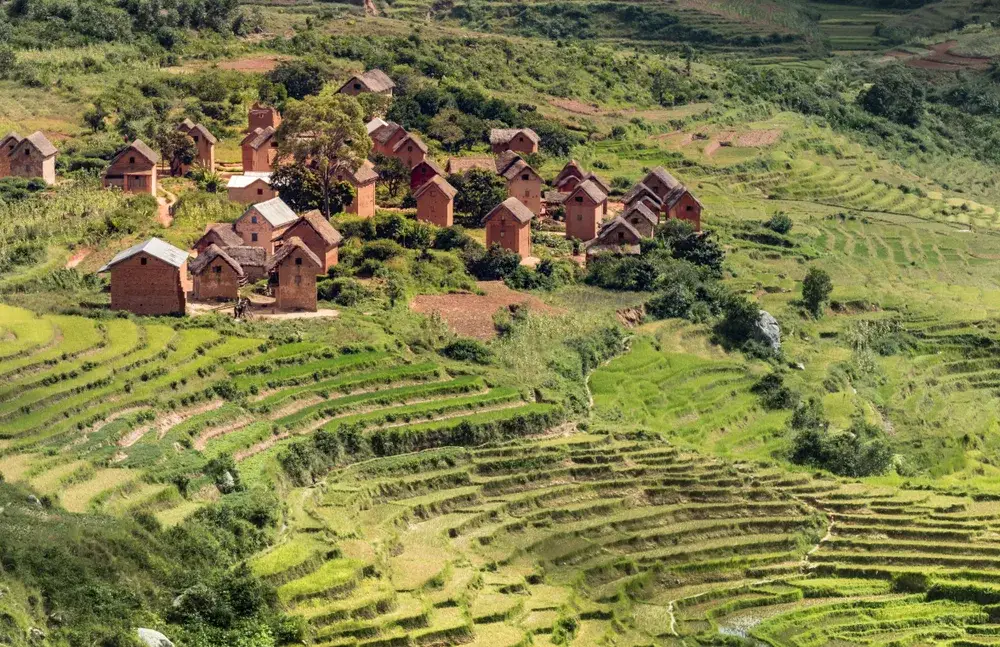 Rice terraces in the Merina village along Route 7 during the best time to visit Madagascar