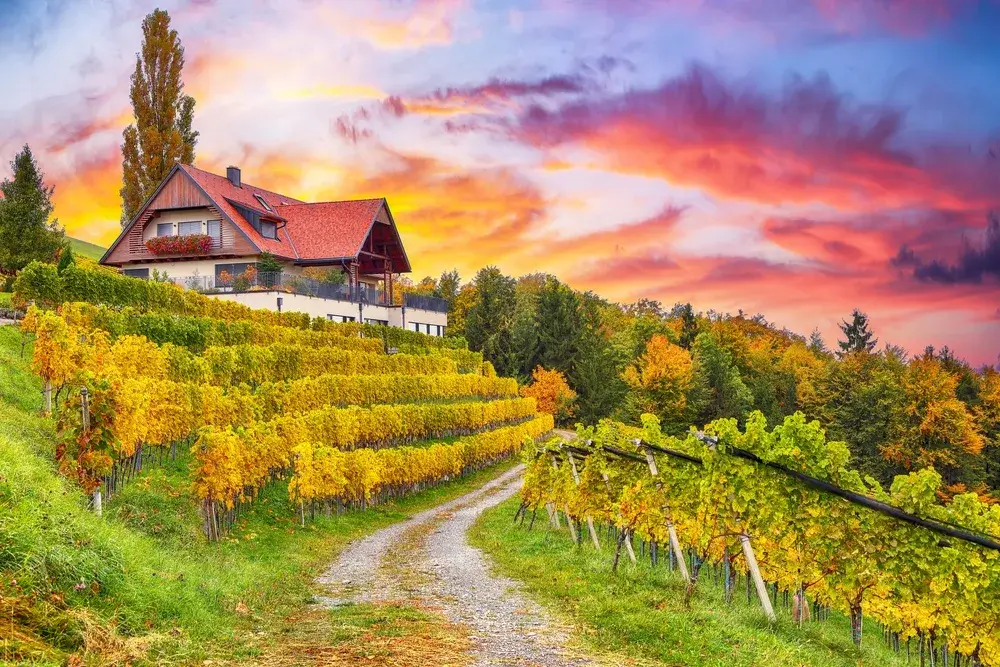 Picturesque little village of Styria with a winery as seen from a walking path at dusk