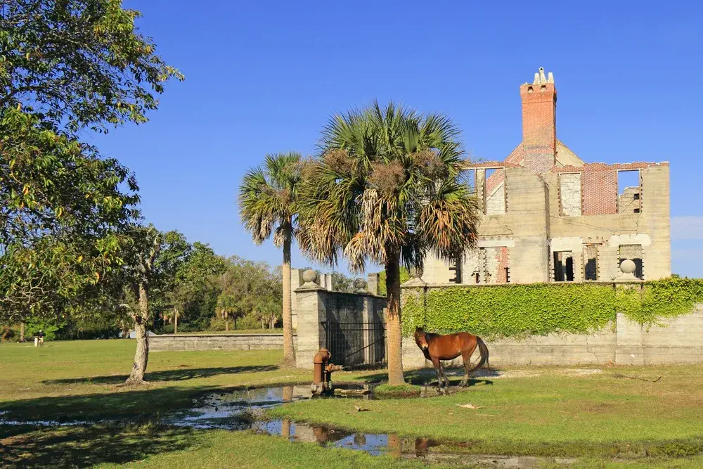 Wild horse roams in front of the ruins at Cumberland Park, one of the best places to visit in Georgia