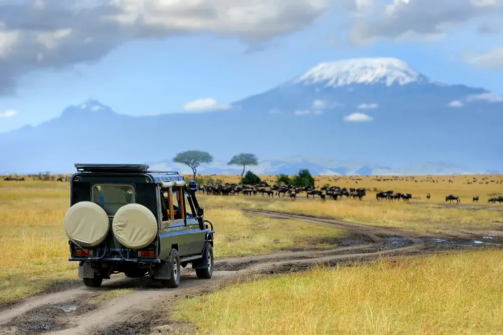 Land cruiser driving along an unkempt dirt road during the overall best time to go to Tanzania with trees and mountain in the background