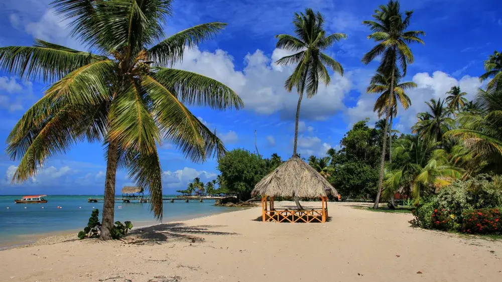 Trinidad beach with golden brown sand, palm trees, and thatched roof hut on the shore during the best time to visit Trinidad in the dry season