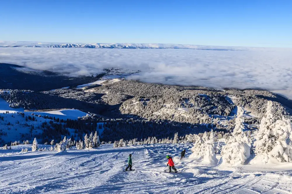 Two people in red and green coats skiing down the steep hillside on the Targhee ski resort