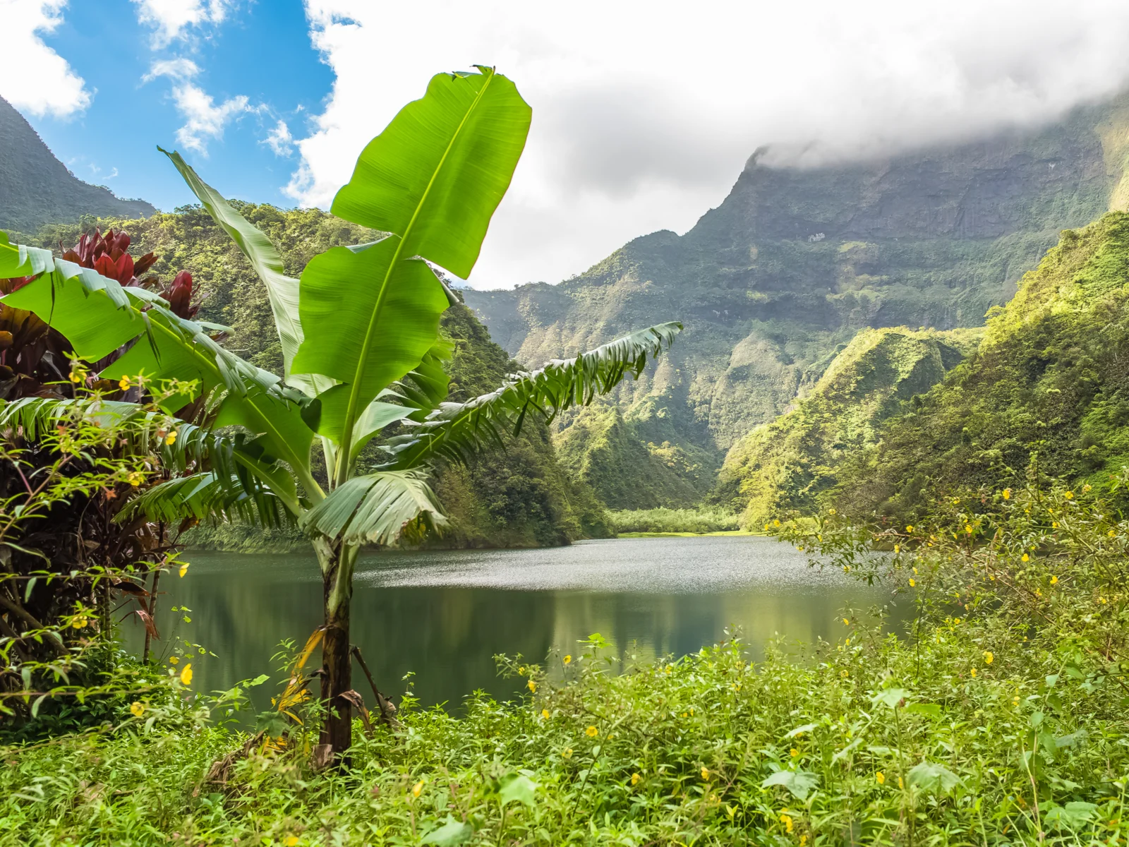 Palm tree overlooking a fresh water lake during the rainy season, the worst time to visit Tahiti